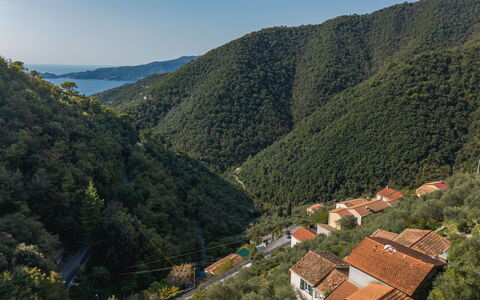 Manuela: Mountainous Landforms, Mountain, Nature, Leaf, Hill, Vegetation, Natural Landscape, Highland, Landscape, Hill Station