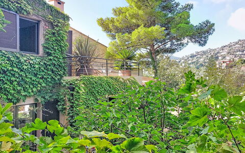 Villa 50: Vegetation, Shrub, Garden, Shade, Evergreen, Hedge