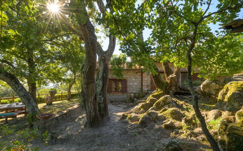 Sottopoggetto: Recreation, Leisure, Shade, Outdoor Furniture, Park, Vacation, Eco Hotel, Resort, Deck
