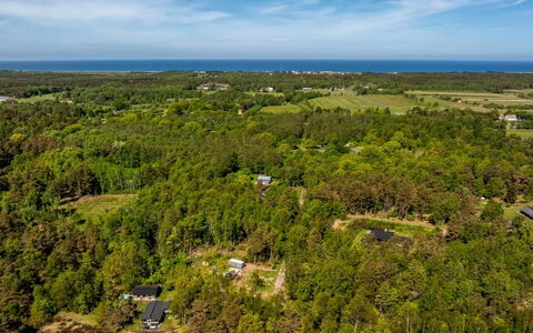 Alika - 300M from the Sea: Vegetation, Bird'S-Eye View, Landscape, Ecoregion, Aerial Photography, Land Lot, Plain, Forest, Plantation, Chaparral