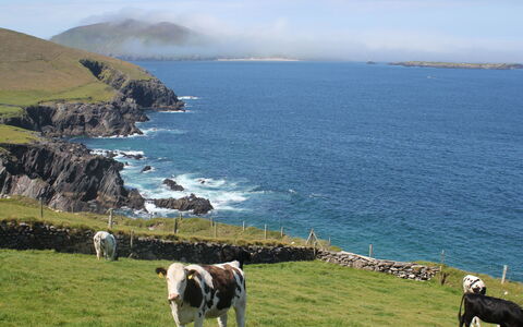 Dingle Cy (Tr4) - 3 Bed No 2: Blue, Water, Body Of Water, Coast, Coastal And Oceanic Landforms, Natural Landscape, Hill, Sea, Highland, Headland