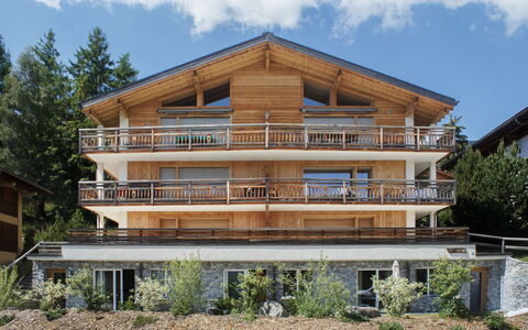 Apollo 2: Wood, Home, Balcony, Apartment, Porch, Shade, Hardwood, Lumber, Design, Wood Stain