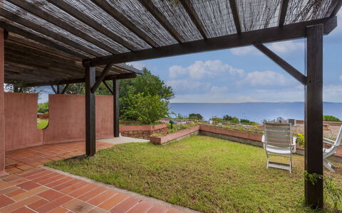 Bonifacio 650: Shade, Garden, Landscaping, Wood Stain, Outdoor Structure, Hardwood, Design, Eco Hotel, Walkway, Backyard