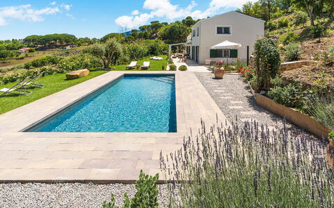 Casaita: Garden, Swimming Pool, Landscaping, Walkway, Estate, Flagstone, Backyard, Resort, Villa, Eco Hotel