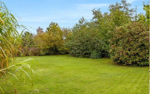 Lymke - 450M from the Sea: Home, Roof, House, Door, Cottage, Shade, Garden, Groundcover, Porch, Yard