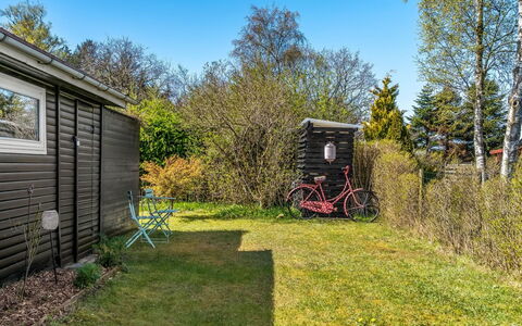 Kamilla - from the Sea: Shrub, Garden, Garden Buildings, Shed, Yard, Lawn, Siding, Backyard, Landscaping