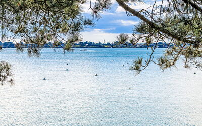 Le Nid du Golfe