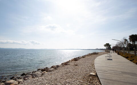 Palmeraie: Water, Body Of Water, Horizon, Coast, Coastal And Oceanic Landforms, Shore, Sea, Beach, Bank, Ocean