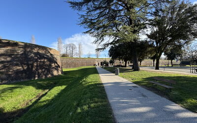 Casa Capolino - Lucca, Tuscany, Italy