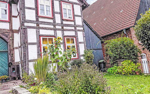 Schwalenberg 111: Shrub, House, Home, Garden, Cottage, Yard, Backyard, Landscaping, Flowerpot