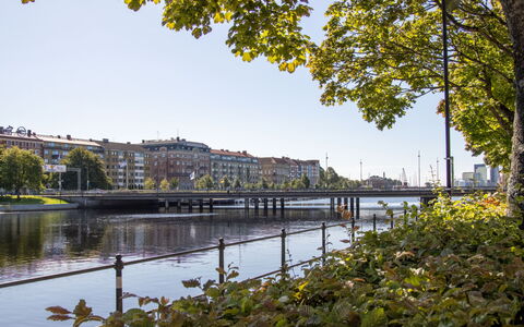 Frösakull Paradiset: Water, Daytime, Body Of Water, Tree, Nature, Building, Waterway, City, Bridge, Watercourse