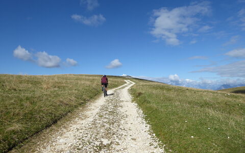 House Martina: Grassland, Ecoregion, Plain, Hill, Trail, Landscape, Steppe, Cloud, Meadow