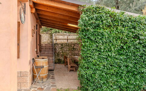 Graziella: Shrub, Garden, Shade, Hedge, Landscaping, Backyard, Fence, Home Fencing