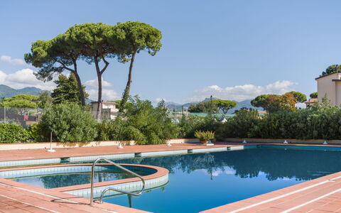 Appartamento Residence Henderson: Shade, Swimming Pool, Landscaping, Hacienda, Eco Hotel, Resort Town, Resort, Villa