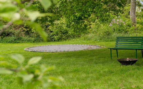 Gun - 300M to the Fjord: Grass, Green, Grassland, Garden, Groundcover, Lawn, Meadow, Park, Yard