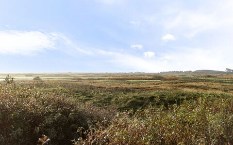 Thomine - 2.5Km from the Sea: Sky, Grass, Natural Environment, Grassland, Vegetation, Cloud, Ecoregion, Natural Landscape, Horizon, Plain
