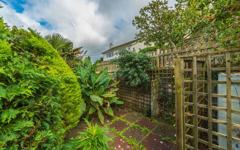 Shanty Cottage: Green, Vegetation, Shrub, Plant Community, Garden, Groundcover, Landscaping, Backyard, Yard, Botanical Garden