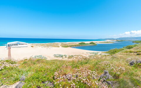 Granello di Sole: Blue, Water, Body Of Water, Coast, Beach, Coastal And Oceanic Landforms, Horizon, Shore, Sea, Bank