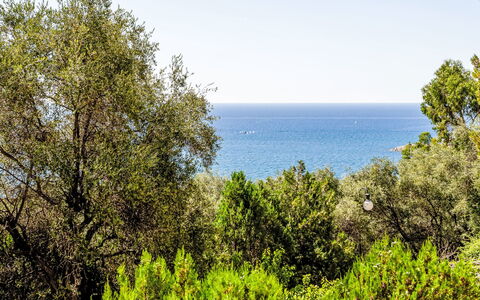 Casa del Mare: Blue, Green, Leaf, Vegetation, Plant Community, Sea, Ocean, Nature Reserve, Sunlight, Coast