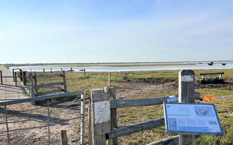 Antonina - 775M from the Sea: Sky, Horizon, Ecoregion, Plain, Grassland, Cloud, Fence, Prairie, Steppe