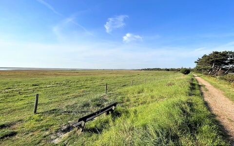 Antonina - 775M from the Sea