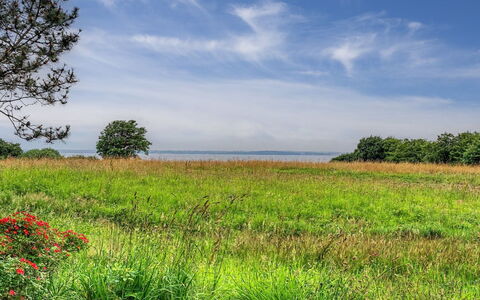 Sigbrit - 100M from the Sea: Sky, Blue, Green, Natural Environment, Grass, Cloud, Grassland, Natural Landscape, Vegetation