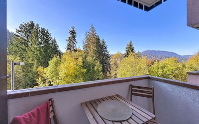 Résidence des Montagnes