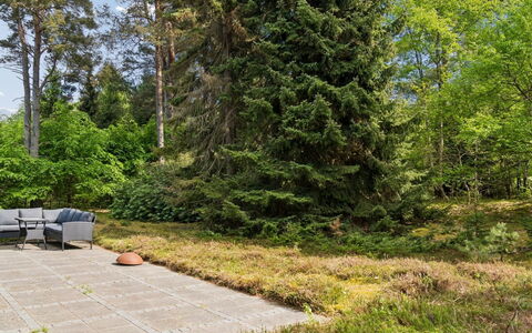 Jorid - from the Sea: Green, Leaf, Vegetation, Shrub, Garden, Plant Community, Groundcover, Woody Plant, Landscaping, Larch