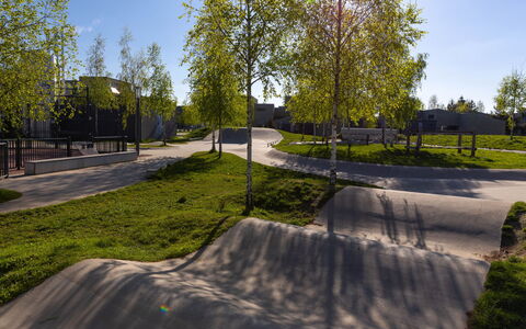 Seeruhe: Landscaping, Walkway, Sidewalk, Park, Driveway