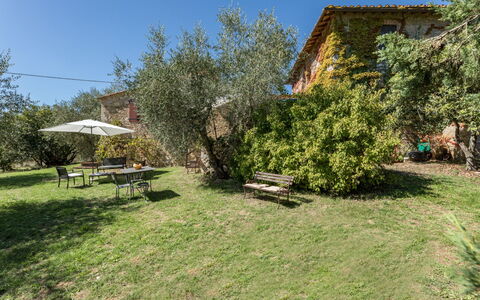 Castellina in Chianti 625: Freezing, Winter, Snow, Larch