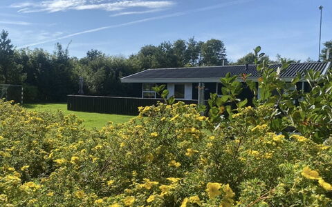 Vilhelm - 10Km from the Sea