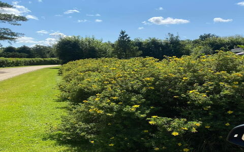 Vilhelm - 10Km from the Sea