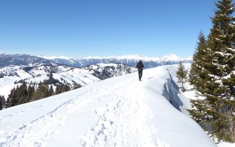 Casa Ines, Feltre: Sky, Snow, Mountain, Mountainous Landforms, Winter, Mountain Range, Wilderness, Terrain, Glacial Landform