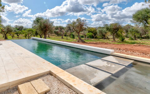 Villa Manè: Composite Material, Swimming Pool, Water Feature, Reflection, Landscaping, Tile, Reflecting Pool, Walkway