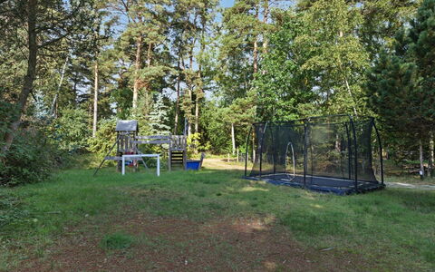 Sheyla - 70M from the Sea: Tree, Garden, Land Lot, Shade, Lawn, Woodland, Backyard, Park, Grove, Landscaping