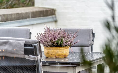 Ketilbiorn - 700M from the Sea: Furniture, Outdoor Furniture, Flowerpot, Chair, Garden, Houseplant, Outdoor Table, Patio, Backyard