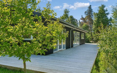 Amitola - 800M from the Sea: Green, Shrub, Groundcover, Spring, Cottage, Garden, Shade, Siding, Landscaping, Garden Buildings