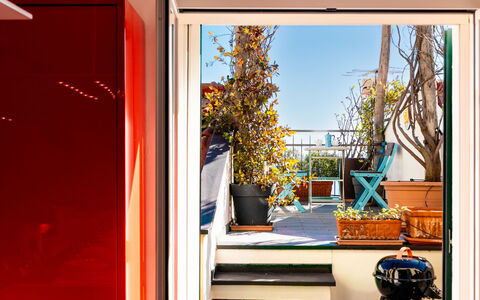 Terrazza con Glicine: Flowerpot, Houseplant, Wood Stain, Balcony, Hardwood, Chair, Eco Hotel, Varnish, Home Door, Wood Flooring