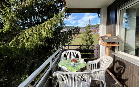 Sonnige Aussichten: Furniture, Chair, Porch, Outdoor Furniture, Balcony, Kitchen & Dining Room Table, Shade, Yard, Wood Stain