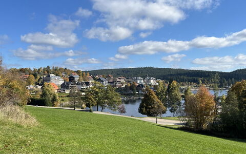 Sonnige Aussichten: Nature, Landscape, Bank, Lake, Reservoir, Meadow, Lawn, Loch