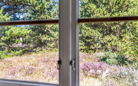Reinhardt - 800M from the Sea: Cottage, Backyard, Yard, Garden Buildings, Shed, Siding, Outdoor Furniture, Log Cabin, Outdoor Structure, Shack