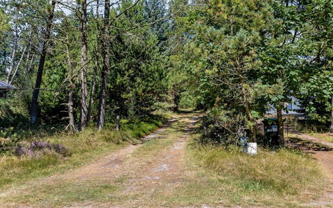 Reinhardt - 800M from the Sea: Cottage, Backyard, Yard, Garden Buildings, Shed, Siding, Outdoor Furniture, Log Cabin, Outdoor Structure, Shack