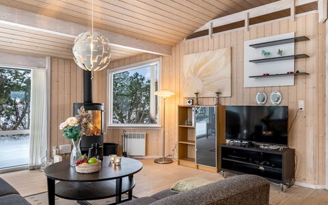 Galin - 210M to the Fjord: Wood, Interior Design, Ceiling, Furniture, Light Fixture, Home, Lighting, Flooring, Living Room, Room
