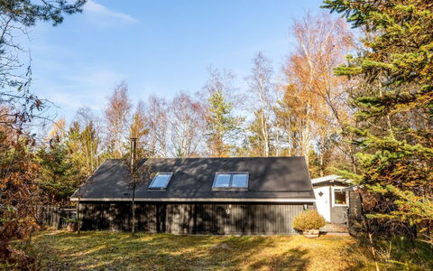 Else - 470M from the Sea: Tree, Branch, Leaf, Grass, Wood, Home, Cottage, House, Roof, Twig
