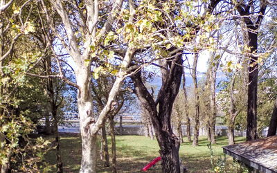 Sanxenxo Rías Baixas 100