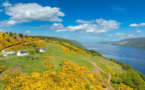 Wester Bunloit: Green, Mountainous Landforms, Yellow, Natural Landscape, Hill, Highland, Landscape, Grassland, Lake, Wildflower