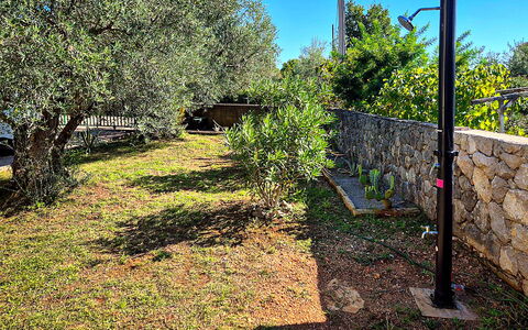 Sandra: Garden, Landscaping, Backyard, Fence