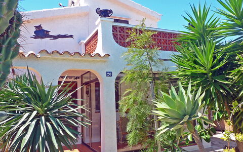 Marinada: Plant, Sky, Building, Green, Tree, Arecales, House, Terrestrial Plant, Woody Plant, Window