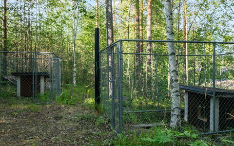 Susiranta: Plant Community, Mesh, Forest, Chain-Link Fencing, Woodland, Wire Fencing, Fence, Grove, Northern Hardwood Forest