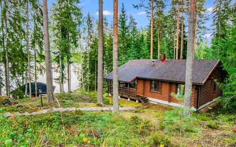 Villa Saimaa: Tree, Wood, Cottage, House, Woodland, Forest, Plant Community, Log Cabin, Trunk, Larch
